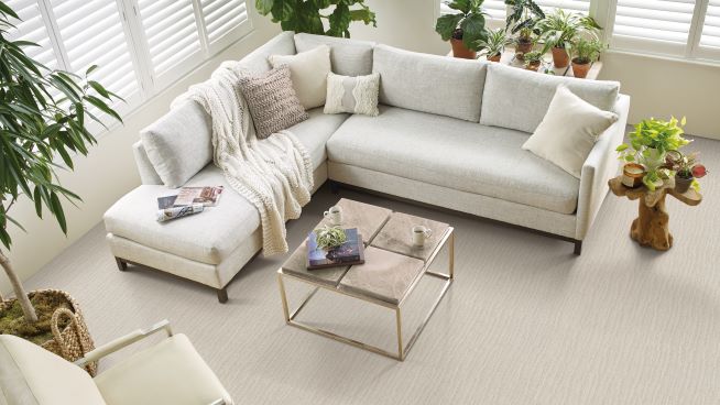 warm neutral carpet in a earthy living room